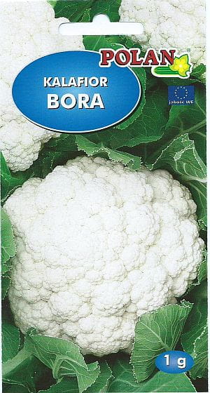 KALAFIOR BORA 1g nasiona warzyw warzywa polan