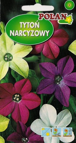 TYTOŃ NARCYZOWY 0,3g. Nasiona kwiatów zestaw kol.