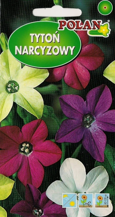 TYTOŃ NARCYZOWY 0,3g. Nasiona kwiatów zestaw kol.