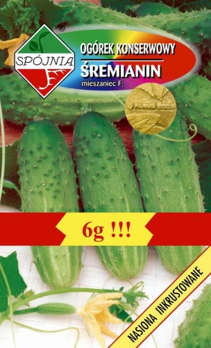 Ogórek konserwowy ŚREMIANIN F1 6g Spójnia nasiona