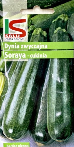 Cukinia dynia SORAYA 2g salnas nasiona warzyw