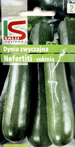 Cukinia dynia NEFERTITI 2g salnas nasiona warzyw