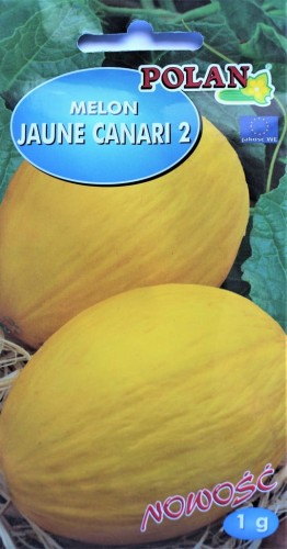 Melon 1g JAUNE CANARI 2 nasiona owoców warzyw !