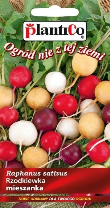 Rzodkiewka mieszanka odmian kolorowych 5g nasiona