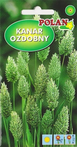 Trawa ozdobnna Kanar Ozdobny 2g nasiona na suche bukiety