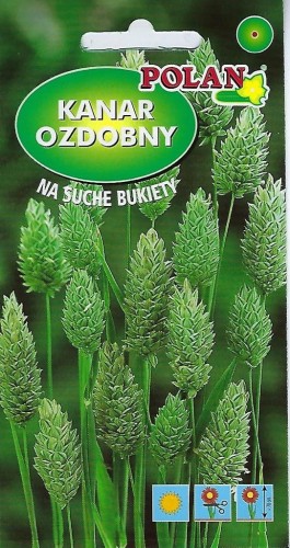 Trawa ozdobnna Kanar Ozdobny 2g nasiona na suche bukiety