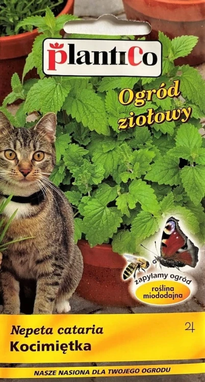 Kocimiętka 0,5g nasiona ziół plantico