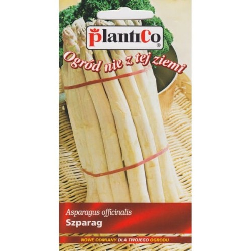 Szparag Argenteuil 2g nasiona warzyw Plantico