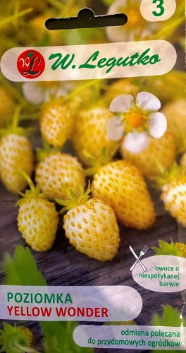 POZIOMKA yellow wonder 0,1g nasiona W.Legutko