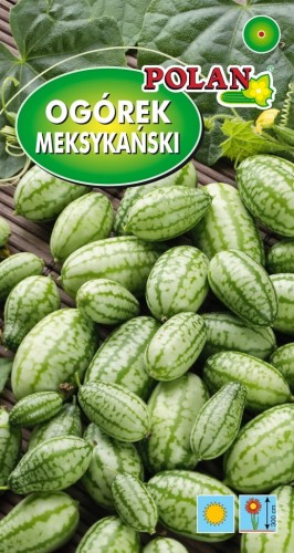 Ogórek meksykański 10 nasion polan warzywa nasiona