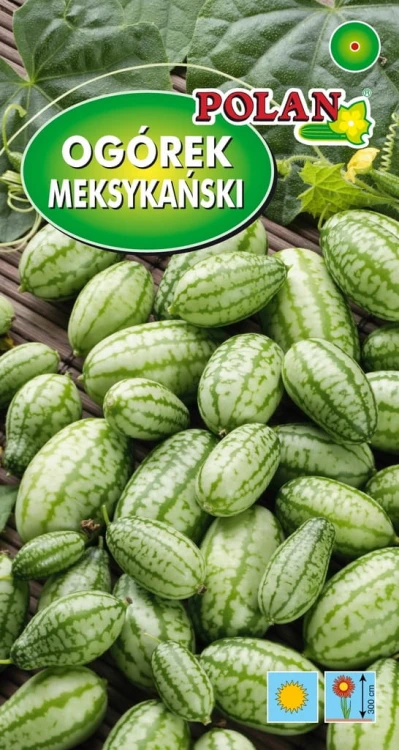Ogórek meksykański 10 nasion polan warzywa nasiona