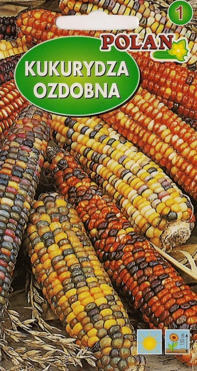 Kukurydza ozdobna MIESZANKA 10g nasiona POLAN