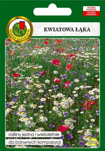 KWIATOWA ŁĄKA 20G! Mieszanka duże opakowanie kwiat
