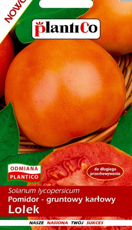 Pomidor gruntowy karłowy LOLEK 0,5g nasiona pl