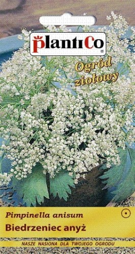 Anyż Biedrzeniec 1g! aromatyczny nasiona plantico