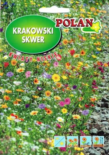 Nasiona krakowski skwer KWIATY NISKIE 20g!