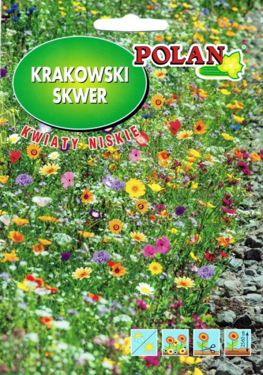 Nasiona krakowski skwer KWIATY NISKIE 20g!
