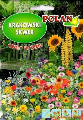 Nasiona krakowski skwer KWIATY WYSOKIE 30g!