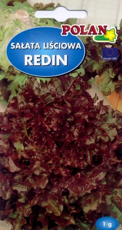Sałata Liściowa REDIN 1g nasiona warzyw polan