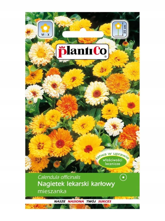 Nagietek LEKARSKI karłowy 2g MIESZANKA plantico!