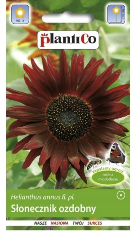 Słonecznik ozdobny CIEMNOCZERWONY 2g plantico!