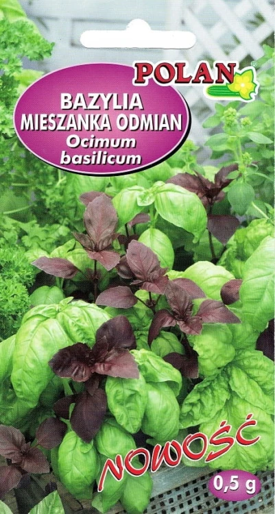 BAZYLIA MIX MIESZANKA odmian 0,5g nasiona ziołac