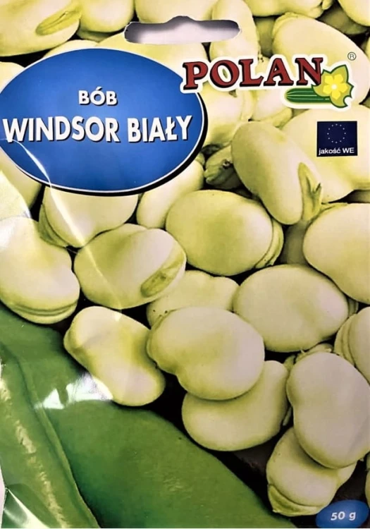BÓB WINDSOR BIAŁY 50g polan nasiona warzyw warzywa