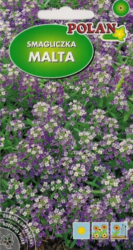 Smagliczka MALTA LILIOWA 1g NASIONA kwiatów!