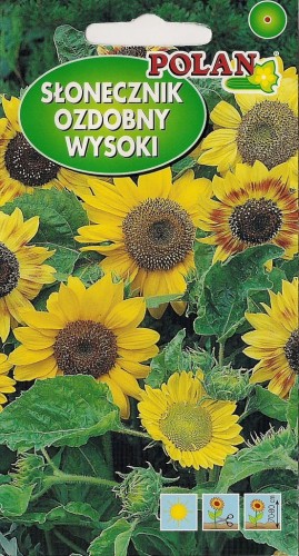 Słonecznik ozd. WYSOKI 5g nasiona ŻÓŁTY MIESZANY!