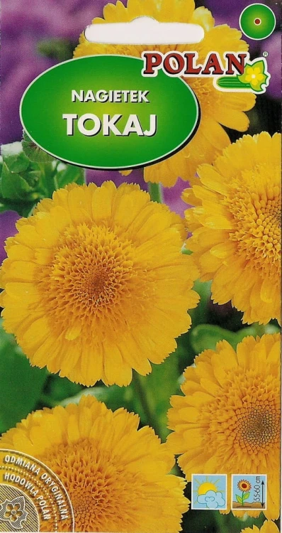 NAGIETEK TOKAJ ŻÓŁTY 3g nasiona kwiatów !