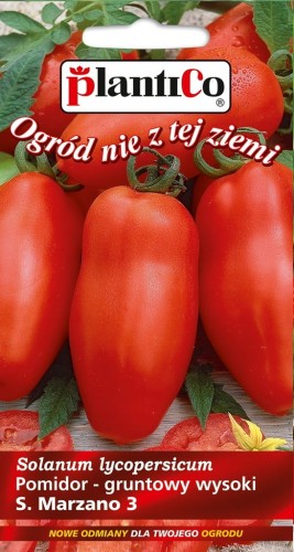 Pomidor gruntowy wysoki S. MARZANO 3 plantico 0,2g