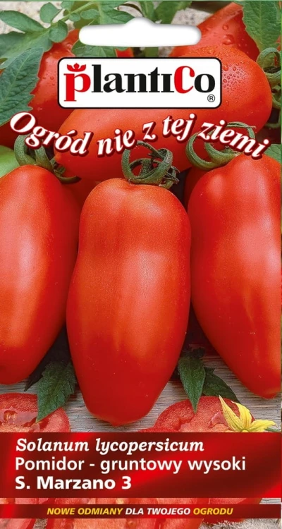 Pomidor gruntowy wysoki S. MARZANO 3 plantico 0,2g