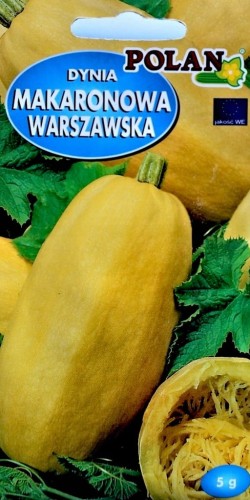 DYNIA MAKARONOWA Warszawska 5g nasiona warzywa!