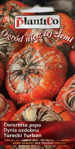 Dynia ozdobna TURECKI TURBAN 2g nasiona PLANTICO