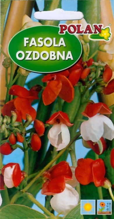 FASOLA OZDOBNA 10g! Nasiona kwiatów polan