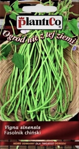 FASOLNIK chiński 2,5g nasiona warzywa plantico!