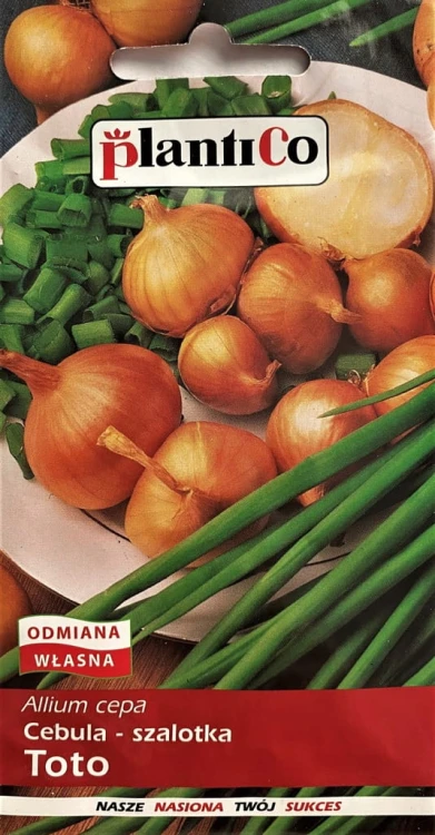 Cebula szalotka TOTO 1g nasiona warzywa plantico!