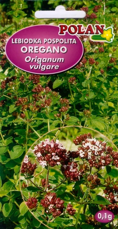 OREGANO Lebiodka pospolita 0,1g nasiona ziół