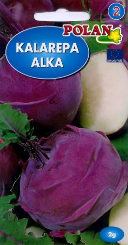 Kalarepa ALKA 2g nasiona warzyw warzywa fioletow