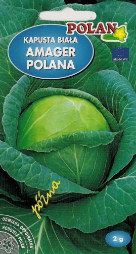 Kapusta biała AMAGER POLANA 2g nasiona warzyw