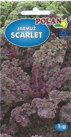 JARMUŻ SCARLET 1g nasiona warzyw warzywa