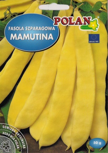 Fasola szparagowa karłowa MAMUTINA 50g nasiona