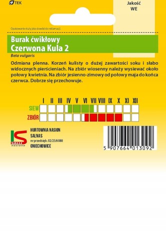 Burak ćwikłowy CZERWONA KULA 10g SALNAS nasiona !
