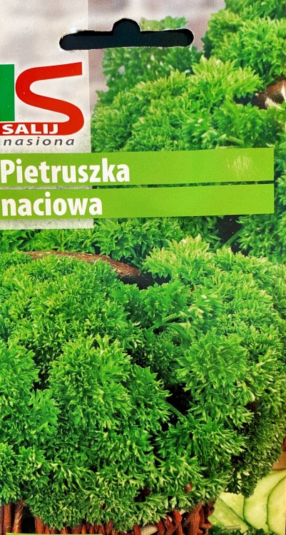 Pietruszka MOSS CURLED 2 salnas 5g nasiona warzywa