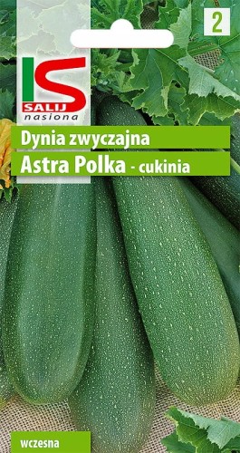 Cukinia dynia ASTRA POLKA 2g SALNAS nasiona warzyw