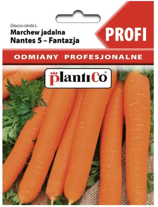 Marchew jadalna Nantes 2g odmiana profesjonalna nasiona marchwi