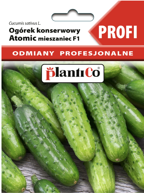Ogórek Atomic F1 1,5g konserwowy odmiana profesjonalna nasiona ogórka