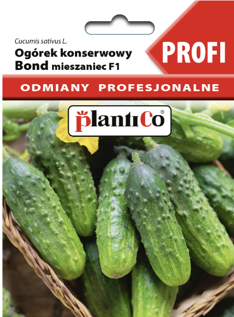 Ogórek Bond F1 2g odmiana profesjonalna nasiona ogórka