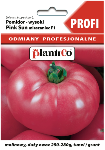 Pomidor Pink Sun F1 8szt wysoki odmiana profesjonalna nasiona pomidora