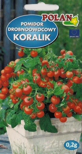 Pomidor malinowy koralik 0,2g nasiona pomidorów